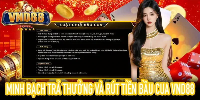 Tỷ lệ trả thưởng Bầu Cua VND88 minh bạch và an toàn