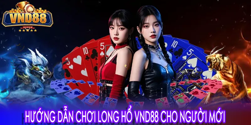 Hướng dẫn chơi long hổ VND88 cho người mới