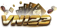 VN123