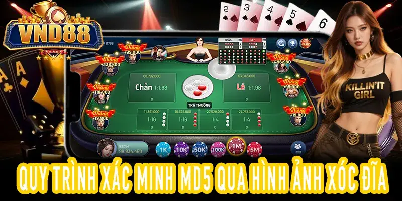 hình ảnh xóc đĩa minh họa quy trình xác minh MD5 trước sau ván
